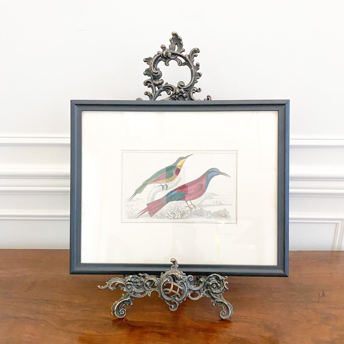 Antique Bee Eater Lithograph