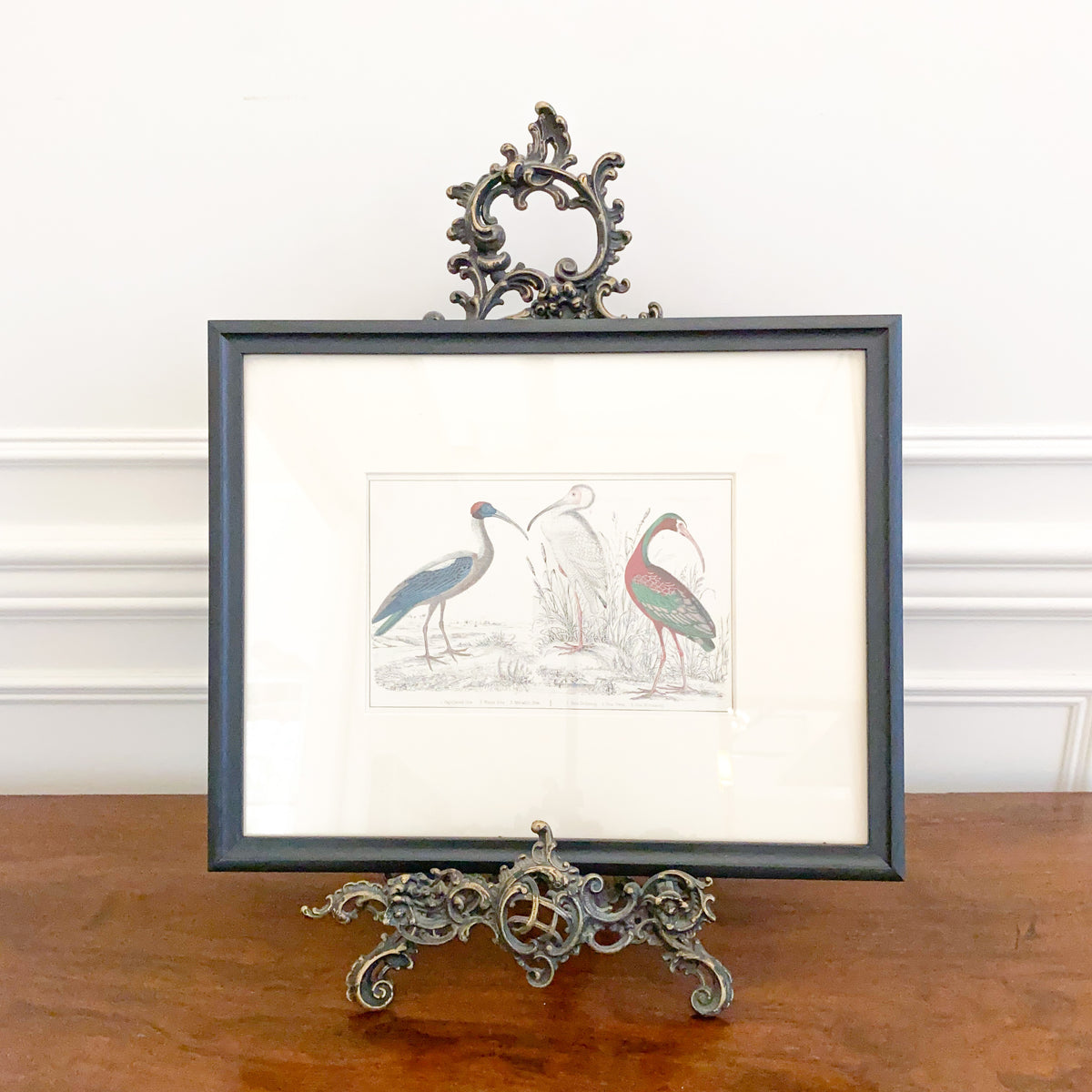 Antique Ibis Lithograph