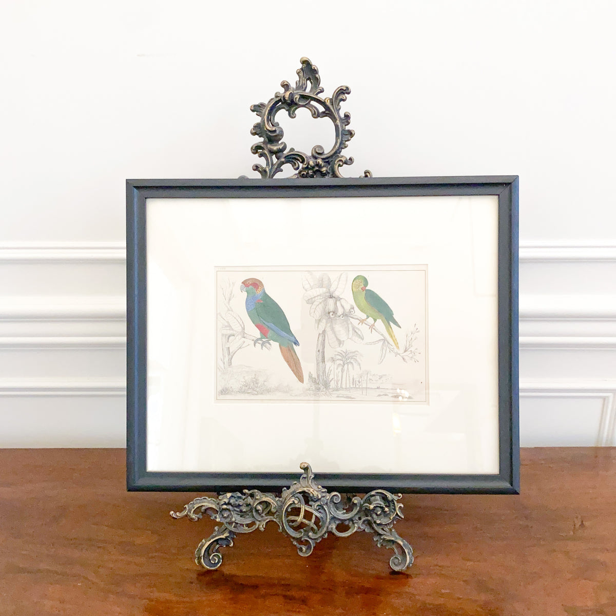 Antique Parrot Lithograph