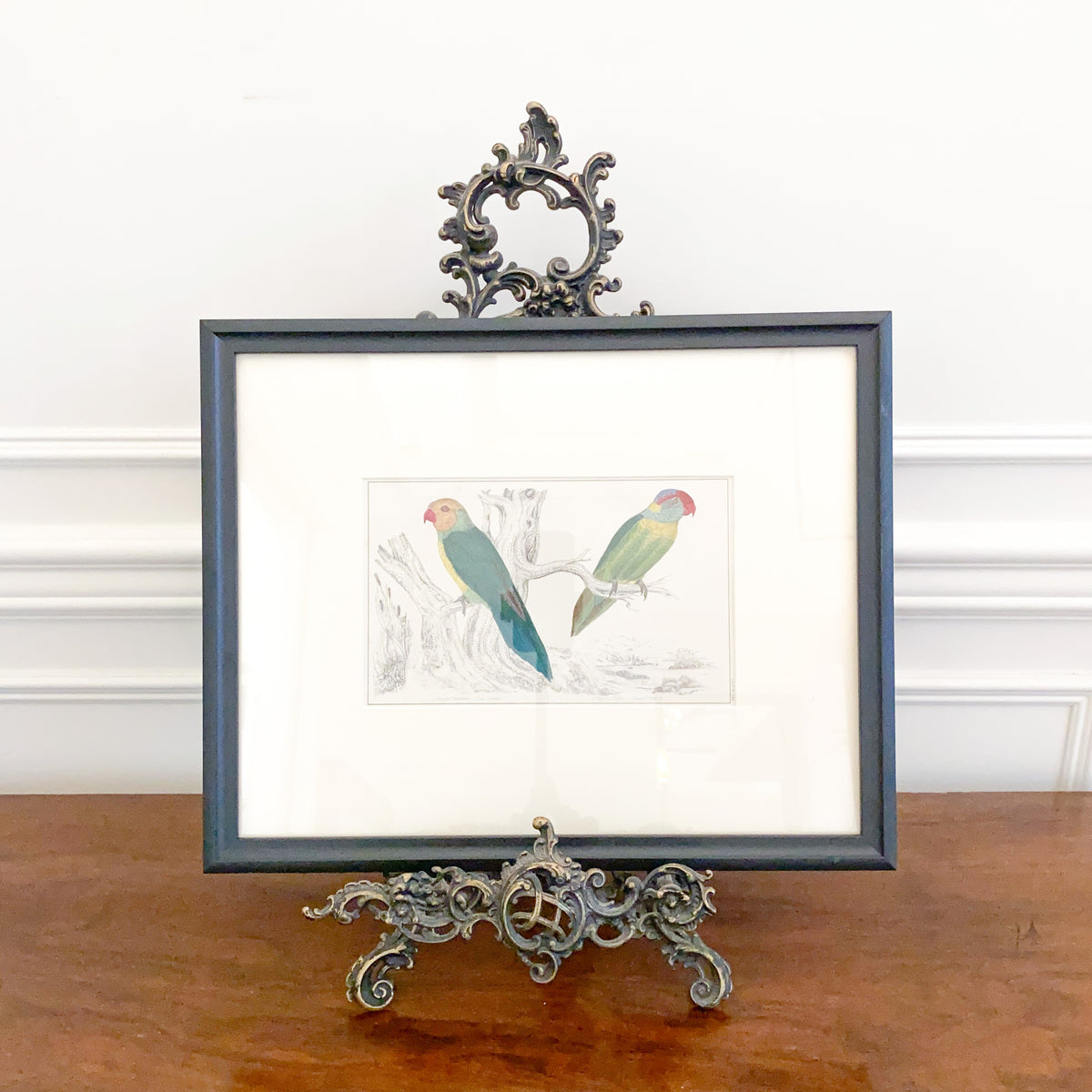 Antique Parakeet Lithograph