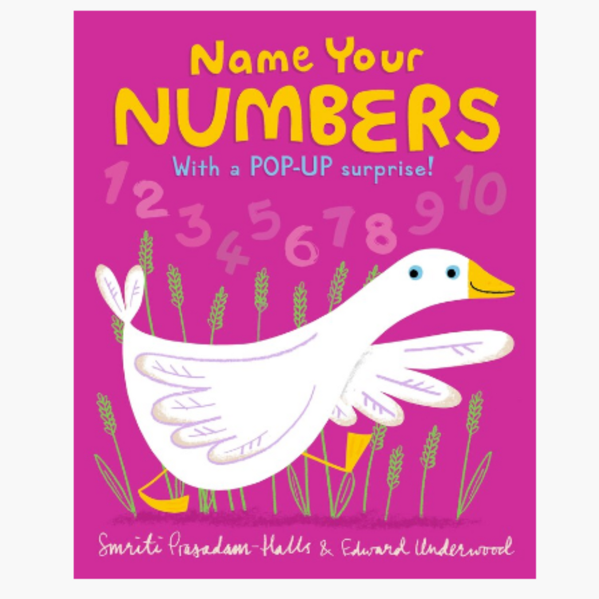 Name Your Numbers