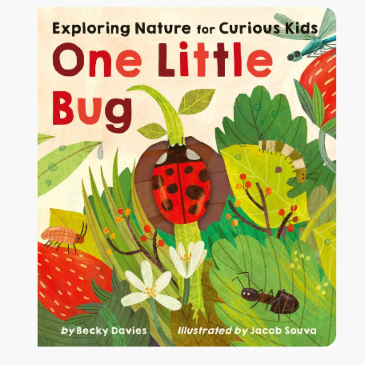 One Little Bug: Exploring Nature for Curious Kids