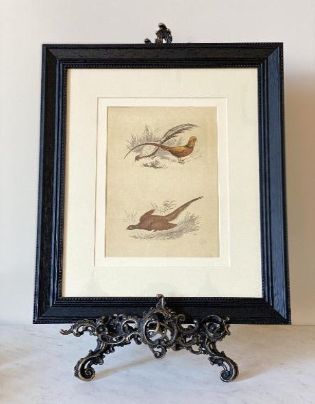 Antique Pheasant Painting