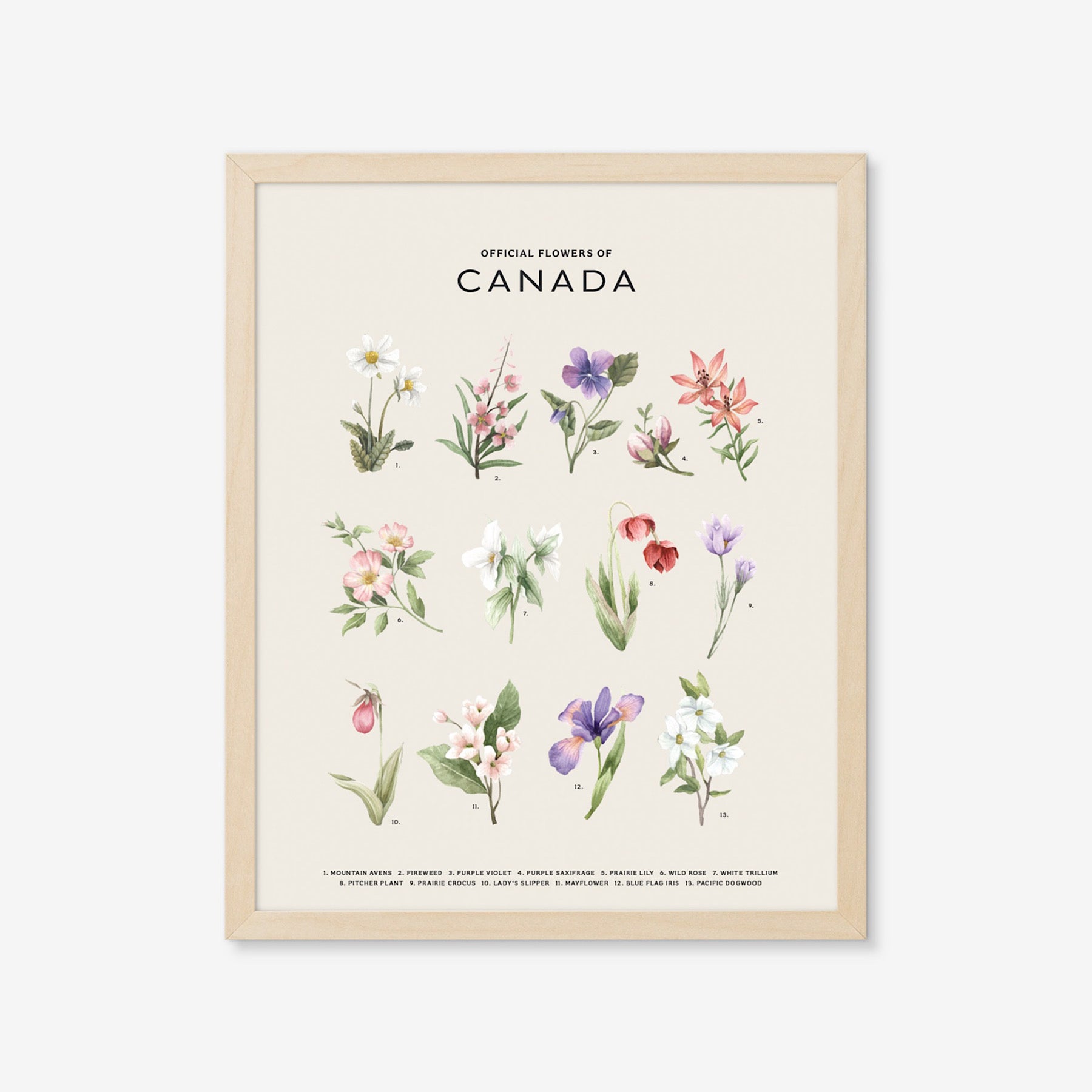 Products Tagged Flowers Of Canada - Plum Home + Design