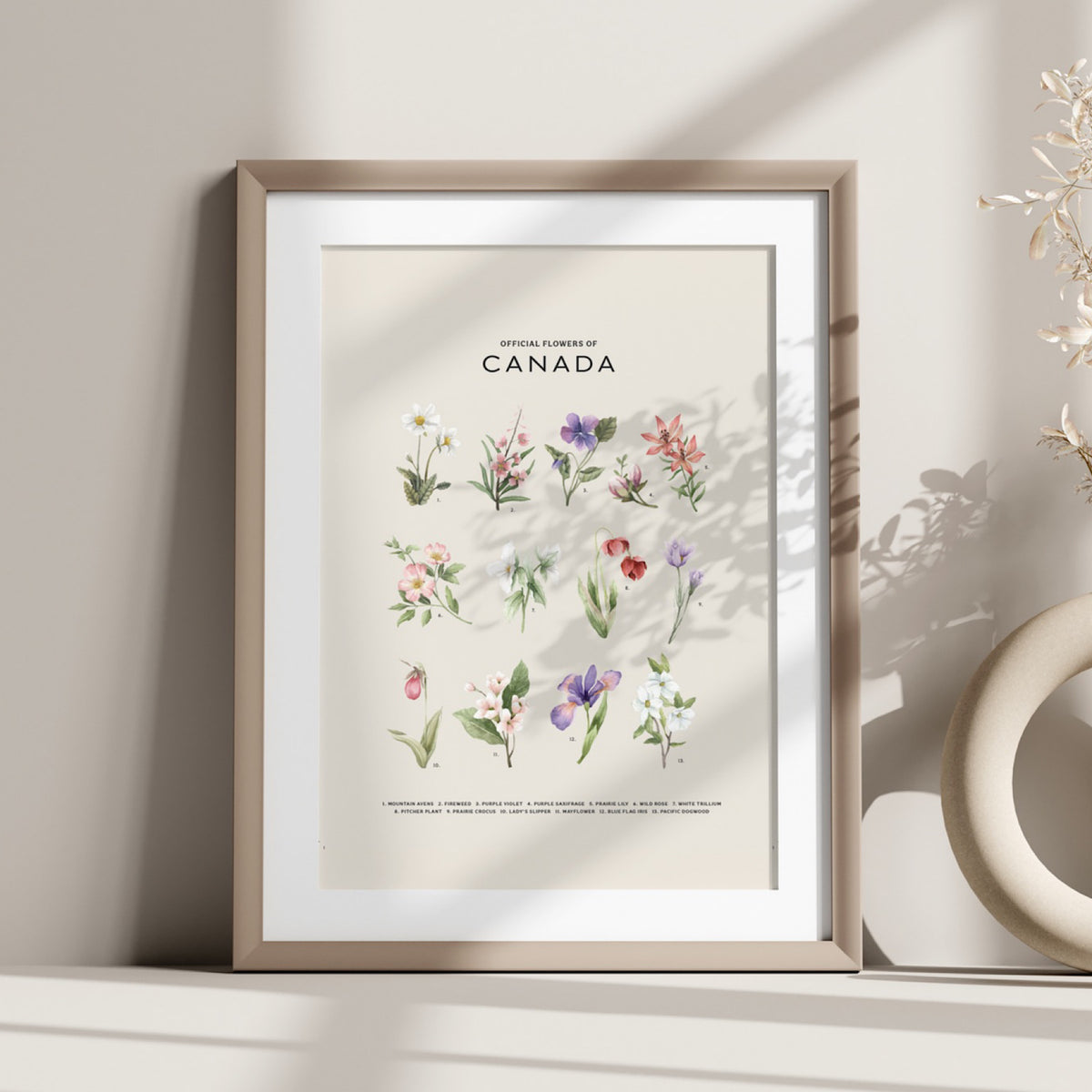 Official Flowers Of Canada Art Print