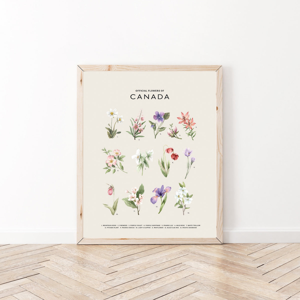 Official Flowers Of Canada Art Print