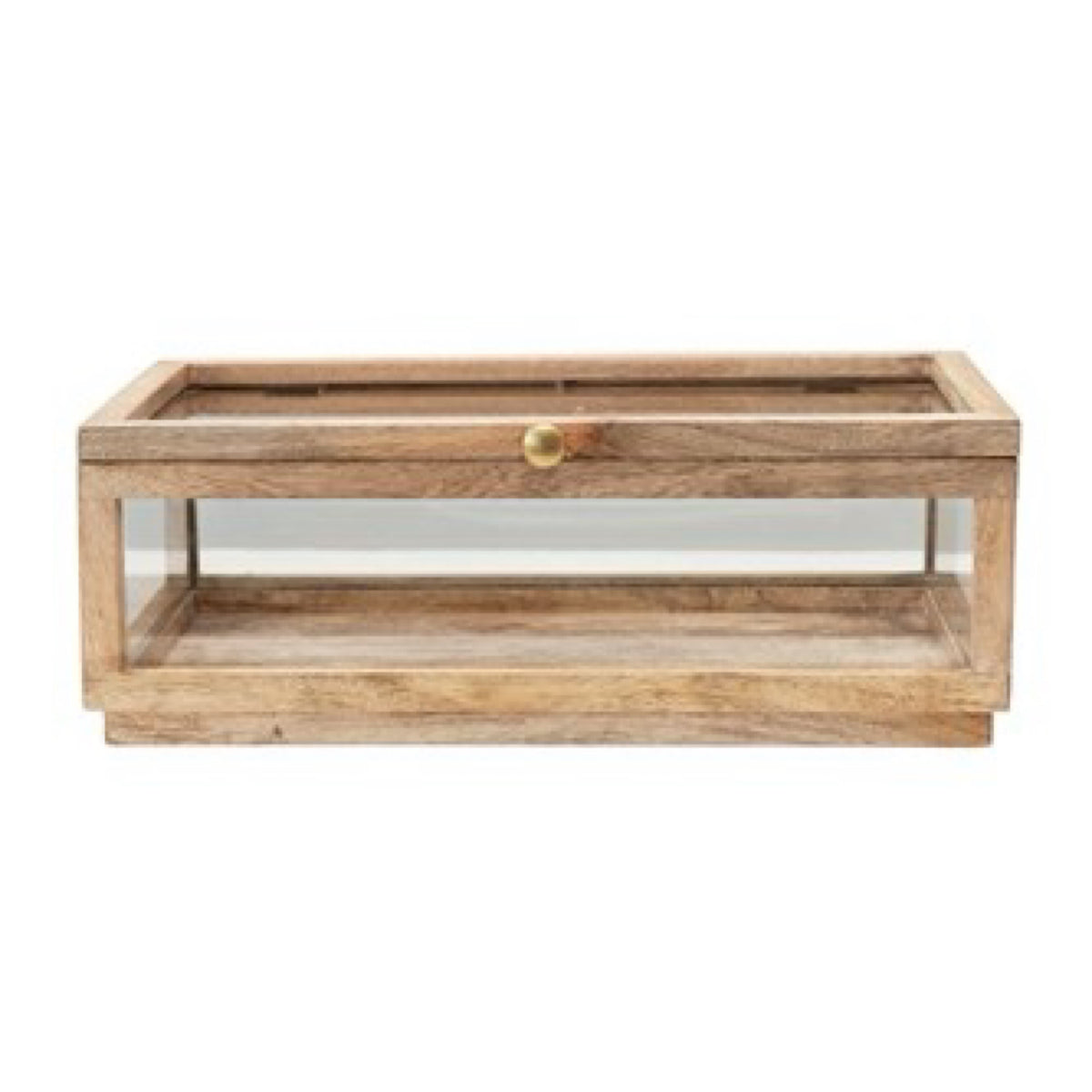 Wood &amp; Glass Display Box with Lid