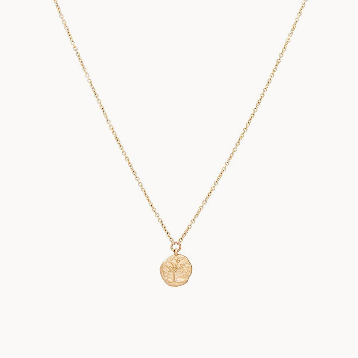Tree of Life Little Coin Necklace, 14k