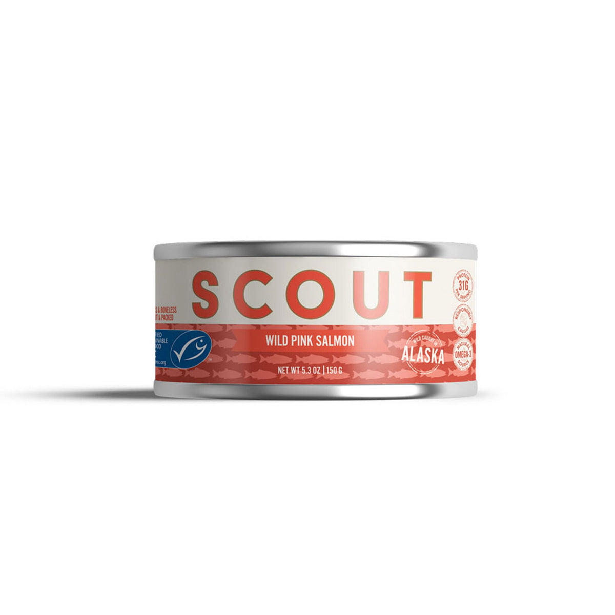 Scout Canning Salmon