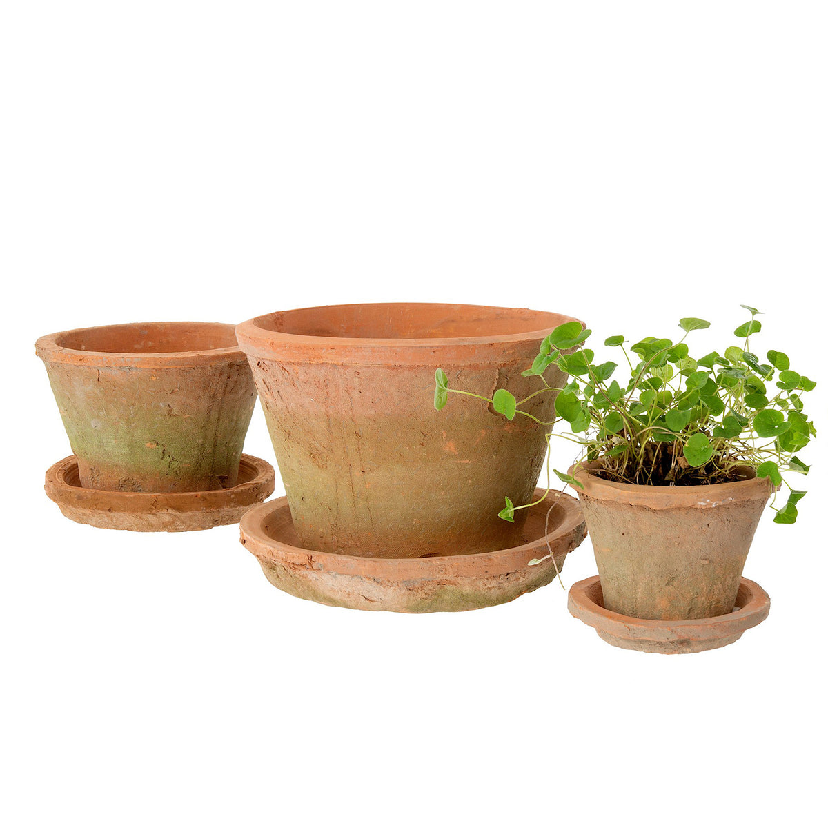 Aged Clay Cactus Pots, Antique Redstone, Three Sizes