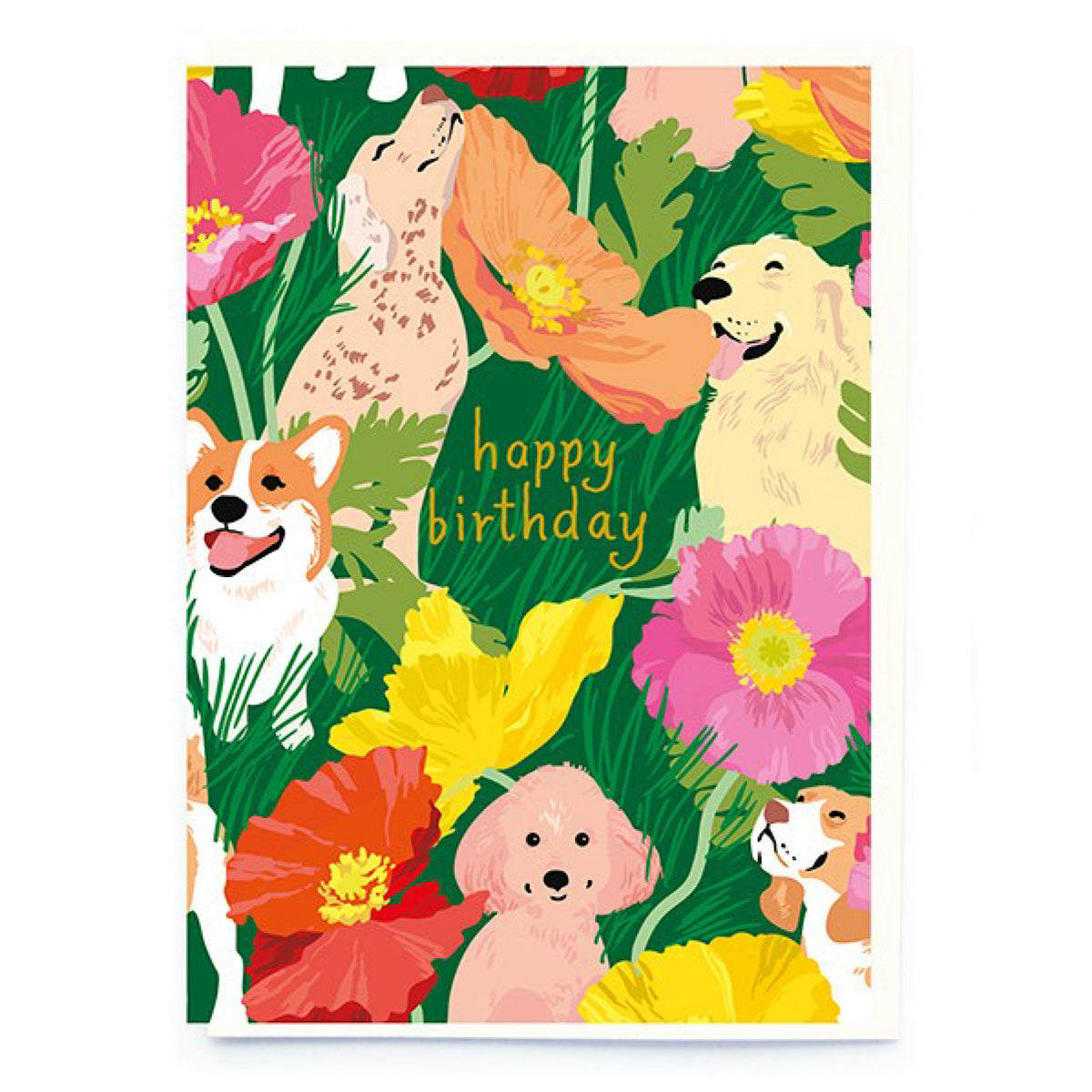 Dogs and Poppies Birthday Card