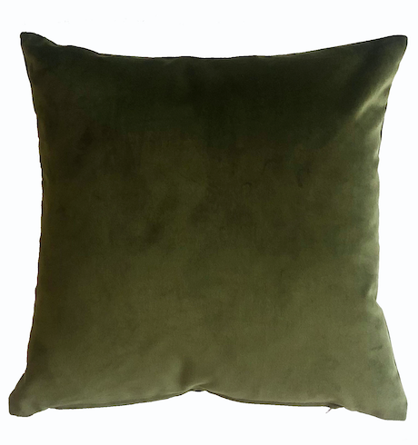 The Franklin Pillow